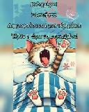 Asim73